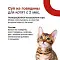 Organix консервированный суп для котят, с говядиной, овощами и рисом (пауч) #3